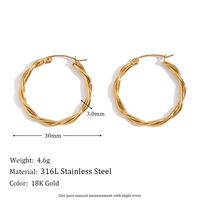 1 Pair Vintage Style Simple Style Irregular Solid Color Plating Stainless Steel 18k Gold Plated Drop Earrings sku image 3