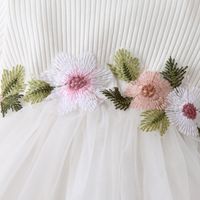 Princess Flower Cotton Girls Dresses main image 3