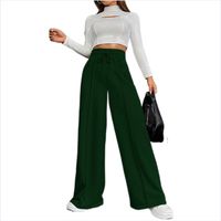Women's Daily Streetwear Solid Color Full Length Casual Pants Wide Leg Pants main image 5