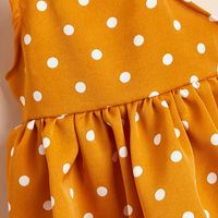 Cute Polyester Round Dots Pet Clothing main image 3