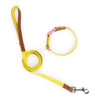 Casual Polyester Solid Color Leash sku image 5