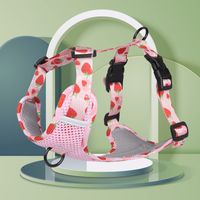 Cute Polyester Mango Strawberry Grape Leash sku image 5