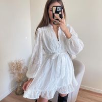 Women's Regular Dress Elegant Classic Style V Neck Long Sleeve Solid Color Above Knee Daily main image 5