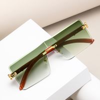 Simple Style Animal Pc Square Frameless Women's Sunglasses main image 5