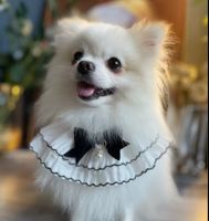 Sweet Cotton Polyester Bow Knot Pet Scarf main image 6