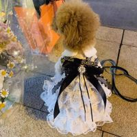 Sweet Polyester Bow Knot Pet Clothing main image 3