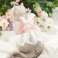 Sweet Polyester Bow Knot Pet Clothing main image 5