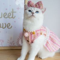 Cute Polyester Plaid Bow Knot Pet Clothing main image 1