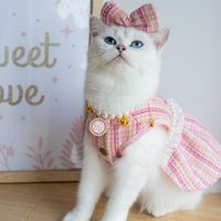 Cute Polyester Plaid Bow Knot Pet Clothing sku image 12