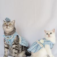 Cute Polyester Plaid Bow Knot Pet Clothing main image 5