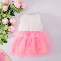 Princesse Couleur Unie Polyester Filles Robes main image 2
