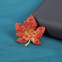 Elegant Shiny Maple Leaf Zinc Alloy Plating Inlay Rhinestones Women's Brooches sku image 5