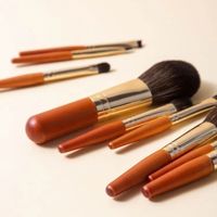 Simple Style Classic Style Commute Nylon Wooden Handle Makeup Brushes 1 Set main image 1