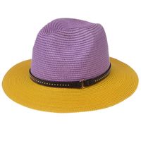 للجنسين أسلوب بسيط متعدد الألوان طنف كبيرة قبعة فيدورا main image 1