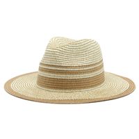 Women's Simple Style Classic Style Color Block Flat Eaves Straw Hat sku image 2