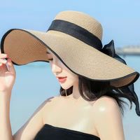 Women's Simple Style Classic Style Color Block Big Eaves Straw Hat main image 1