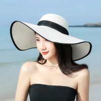 Women's Simple Style Classic Style Color Block Big Eaves Straw Hat sku image 9