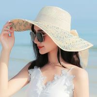 Women's Simple Style Classic Style Color Block Big Eaves Straw Hat sku image 18