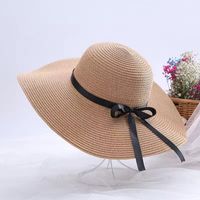 Women's Simple Style Classic Style Color Block Big Eaves Straw Hat sku image 2