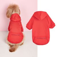 Casual Polyester Solid Color Pet Clothing sku image 21