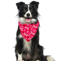 Cute Sweet Polyester Valentine's Day Heart Shape Pet Scarf main image 5