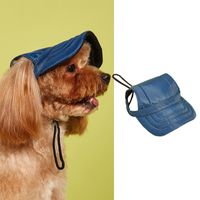 Simple Style Polyester Cartoon Pet Hat sku image 23