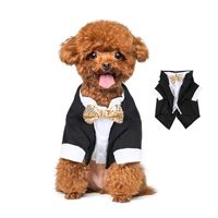 Formal Simple Style Polyester Color Block Pet Clothing main image 1