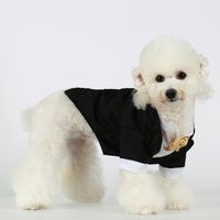 Formal Simple Style Polyester Color Block Pet Clothing sku image 5