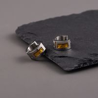 1 Pair Hip-Hop Geometric Epoxy 304 Stainless Steel Resin Earrings main image 5