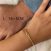 304 Stainless Steel 18K Gold Plated Simple Style Plating Solid Color Necklace sku image 5