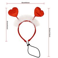 Simple Style Classic Style Organza Valentine's Day Heart Shape Pet Accessories main image 4