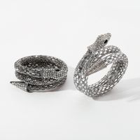 Cool Style Shiny Snake Alloy Rhinestone Plating Women's Bracelets Earrings Necklace main image 6