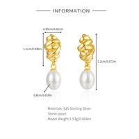 1 Pair Elegant Snowflake Plating Sterling Silver Drop Earrings main image 2