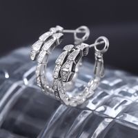 1 Pair Simple Style Shiny Snake Plating Inlay Copper Zircon Earrings main image 2