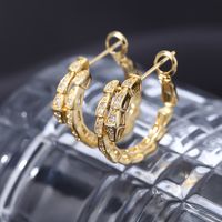 1 Pair Simple Style Shiny Snake Plating Inlay Copper Zircon Earrings main image 1
