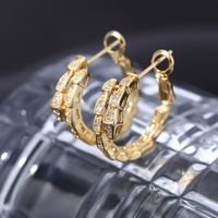 1 Paire Style Simple Brillant Serpent Placage Incruster Le Cuivre Zircon Des Boucles D'Oreilles main image 6