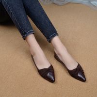 Women's Elegant Solid Color Bow Knot Point Toe Flats main image video