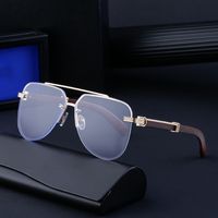 IG Style Modern Style Geometric Pc Toad Glasses Frameless Men's Sunglasses main image 3