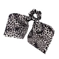 Frau Einfacher Stil Leopard Tuch Haargummi main image 6