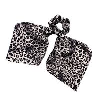 Women's Simple Style Leopard Cloth Hair Tie main image 6