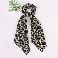 Women's Simple Style Leopard Cloth Hair Tie sku image 12