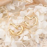 1 Pair IG Style Simple Style Heart Shape Plating 304 Stainless Steel Earrings main image 5