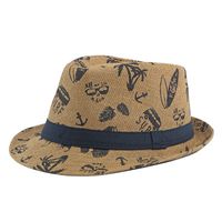 Women's Simple Style Classic Style Color Block Crimping Straw Hat sku image 3