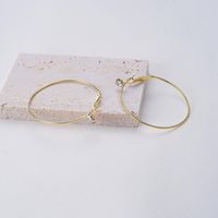 1 Pair Exaggerated Simple Style Circle Plating Inlay Alloy Zircon Hoop Earrings main image 2