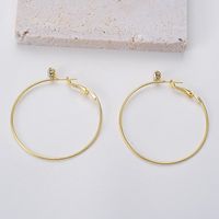 1 Pair Exaggerated Simple Style Circle Plating Inlay Alloy Zircon Hoop Earrings main image 5