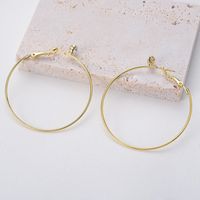 1 Pair Exaggerated Simple Style Circle Plating Inlay Alloy Zircon Hoop Earrings main image 4