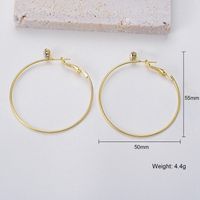 1 Pair Exaggerated Simple Style Circle Plating Inlay Alloy Zircon Hoop Earrings sku image 1