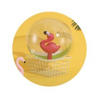 Simple Style Classic Style Printing Plastic Inflatable Ball Swimming Accessories 1 Piece main image 3