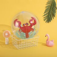 Simple Style Classic Style Printing Plastic Inflatable Ball Swimming Accessories 1 Piece main image 2