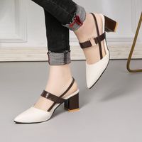 Women's Casual Color Block Point Toe Casual Sandals main image 4